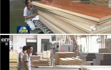 央视一套《新闻联播》在说霍尔茨，你知道么？